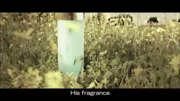 vash-aromat.ru: Loewe 7 Natural - мужской парфюм