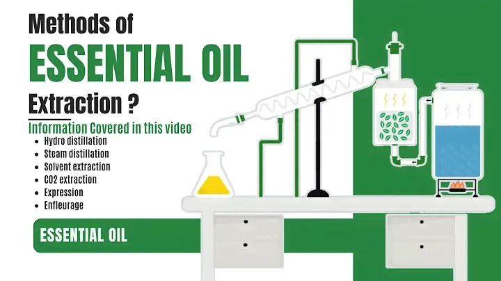 How essential oils are extracted from plants