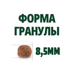 Guabi Natural Dog cухой корм для взрослых собак мелких пород цыпленок и коричневый рис