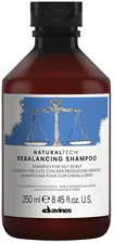 Davines Natural Tech Rebalancing Балансирующий шампунь