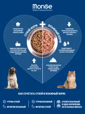 Консервированный корм Monge Cat Natural для кошек с морепродуктами и курицей