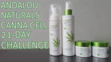 Andalou Naturals Cannacell 21-Day Challenge Review - Cleansing Foam, Toner, Day and Night Cream